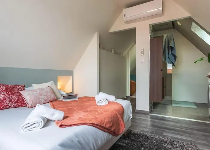 Apartment Nouveau - Le Patio - A 20 Min De Europa Park - Navette Rhinau