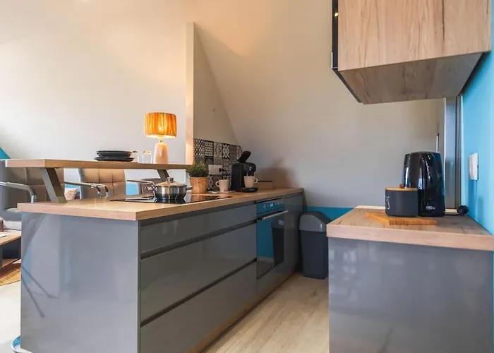 Apartment Nouveau - Le Patio - A 20 Min De Europa Park - Navette Rhinau